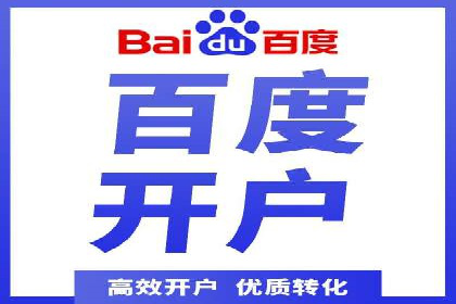 短视频平台的SEM推广实践与效果